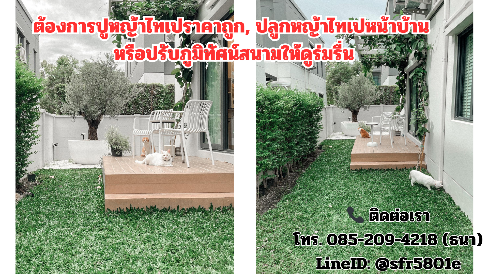 รับปลูกหญ้าไทเปใกล้ฉัน