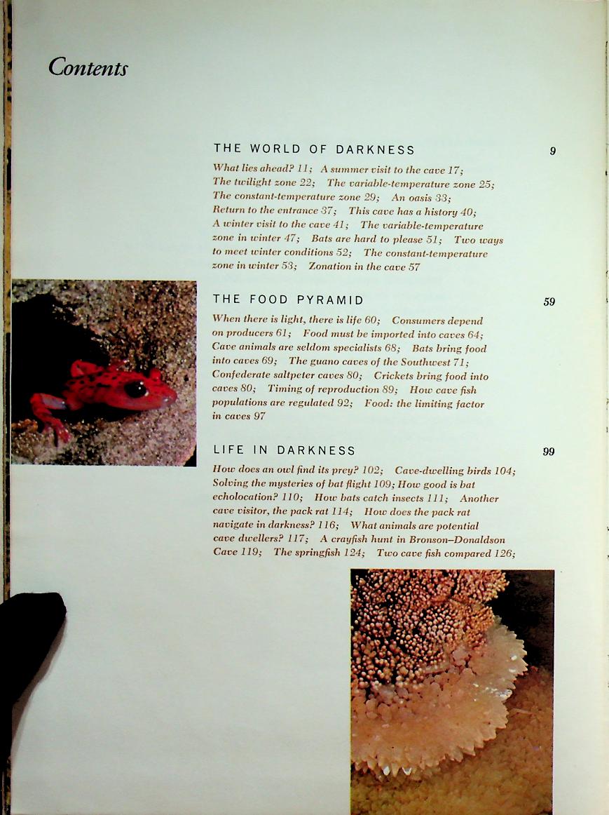 The Life of the Cave