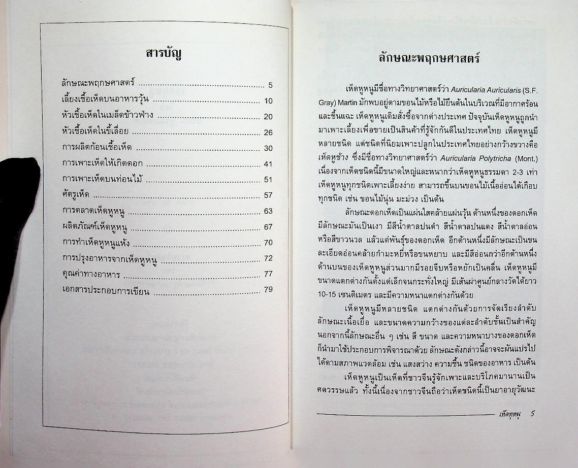 เห็ดหูหนู