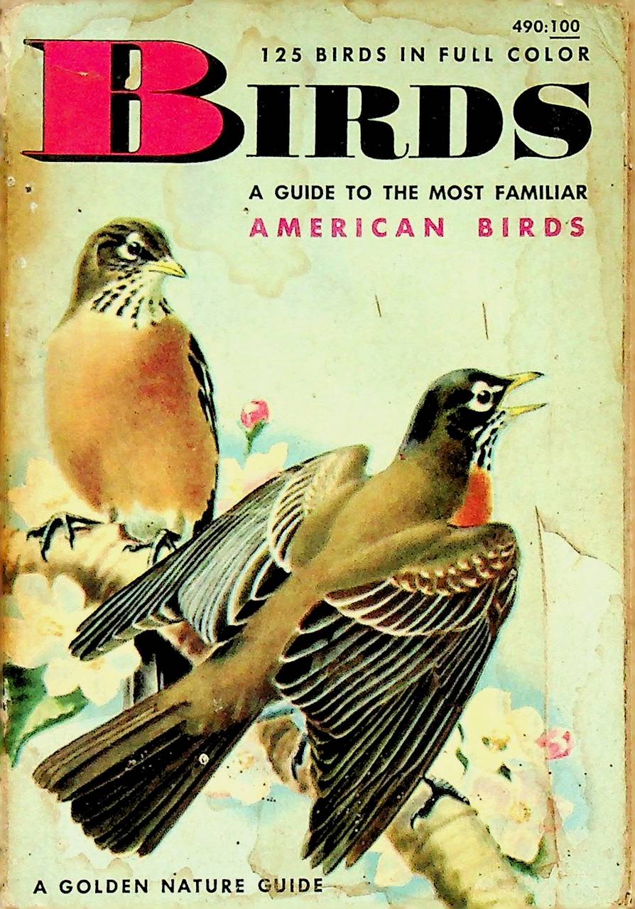 125 BIRDS IN FULL COLOR A GUIDE TO THE MOST FAMILIAR AMERICAN BIRDS