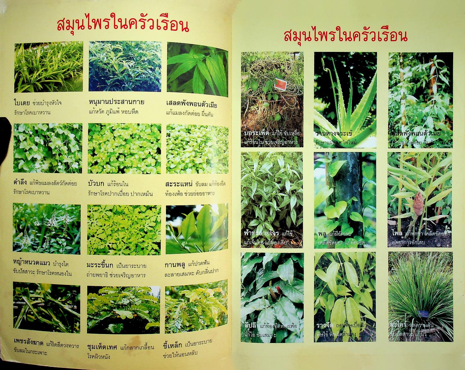 คู่มือพึ่งตนเอง สมุนไพรสามัญประจำบ้าน ปรุงยาสมุนไพรไว้ใช้เอง