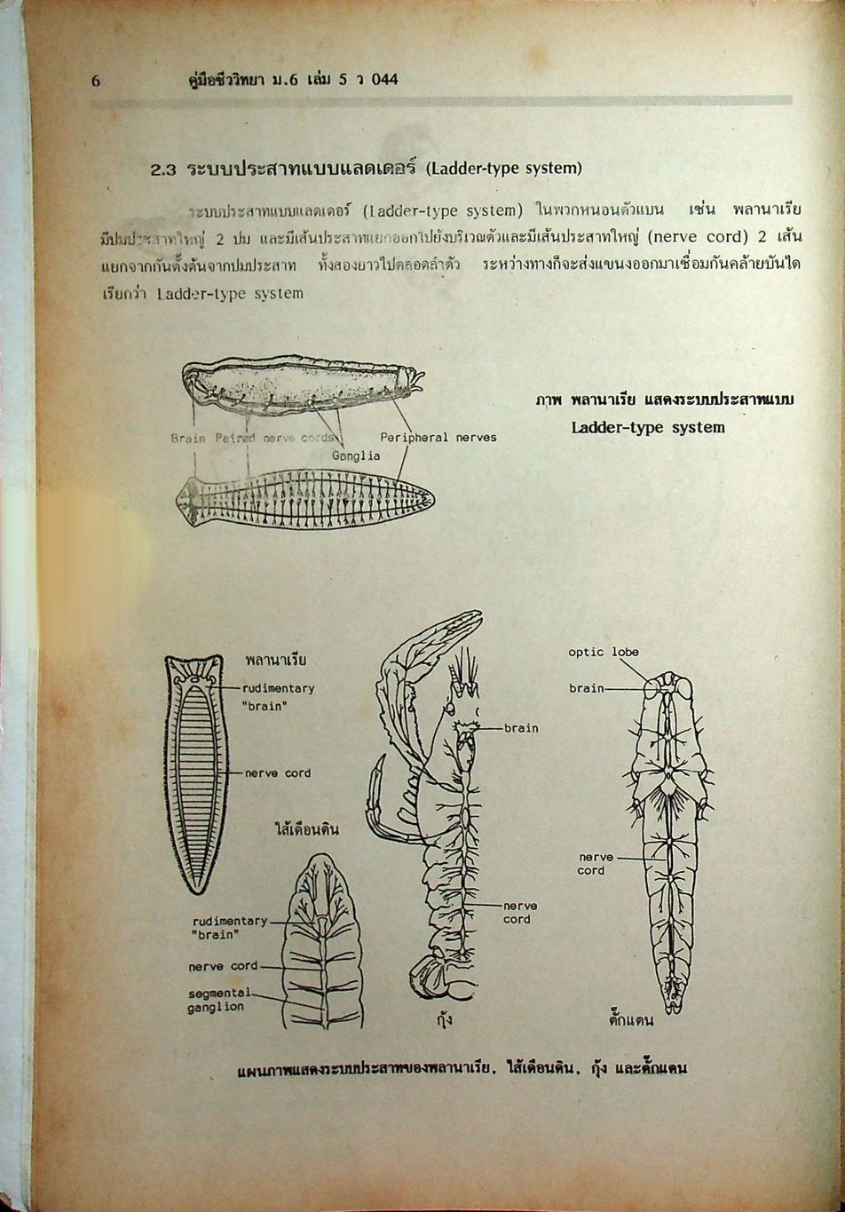 คู่มือเตรียมสอบ ชีววิทยา ม.6 เล่ม 5 ว 044