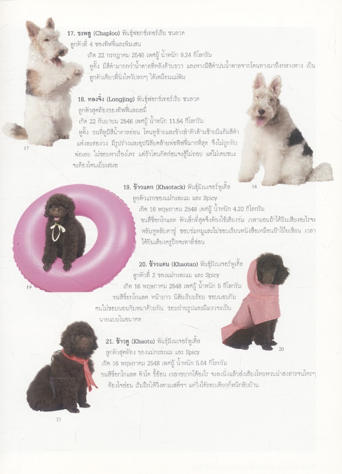 สัตว์เลี้ยงวังสระปทุม สิรินธร. DIARY 2549/2006 (เป็นหนังสือภาพและสมุดไดอารี่)