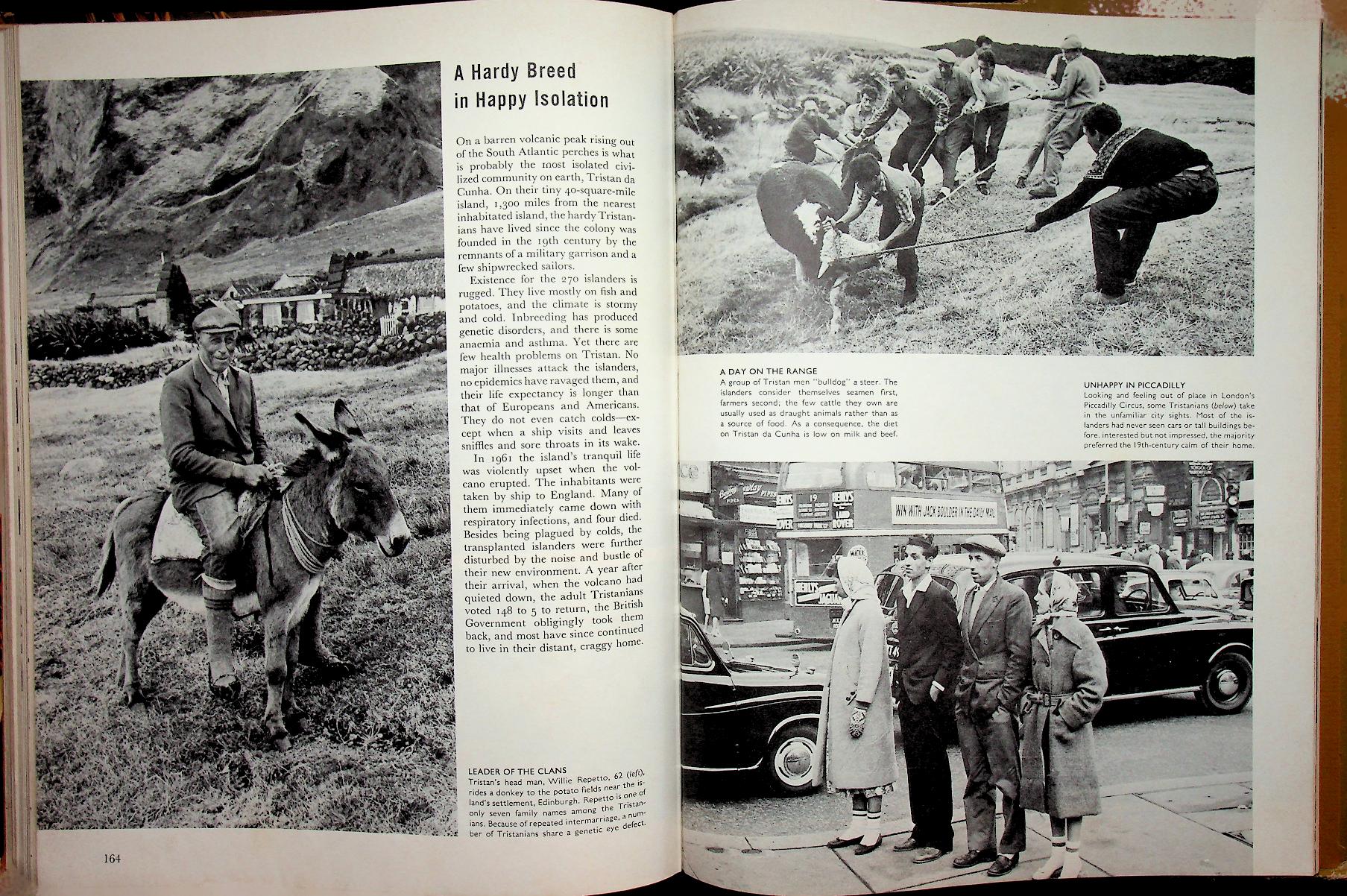 LIFE SCIENCE LIBRARY : HEALTH AND DISEASE