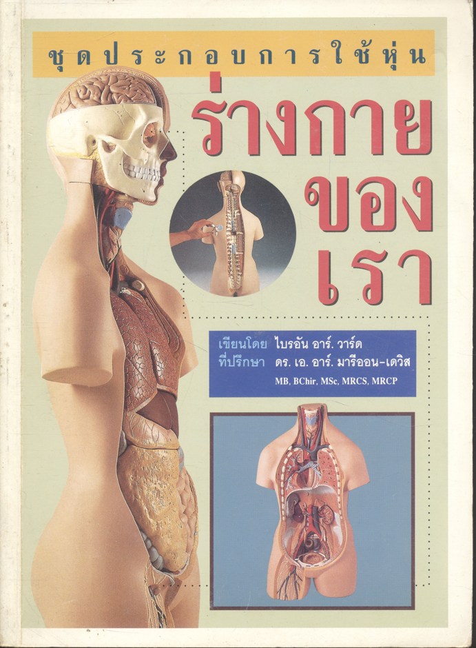 ชุดประกอบการใช้หุ่น ร่างกายของเรา