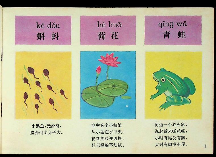 สมุดภาพคำศัพท์ภาษาจีน (ฉบับภาษาจีน)