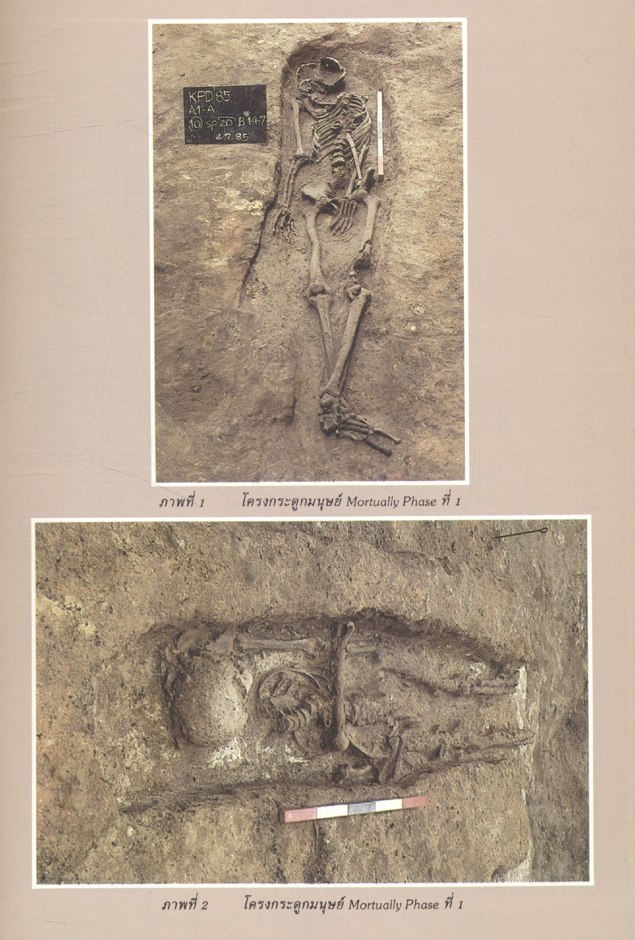 ผลการวิเคราะห์โครงกระดูกมนุษย์ ที่แหล่งโบราณคดี โคกพนมดี จ.ชลบุรี