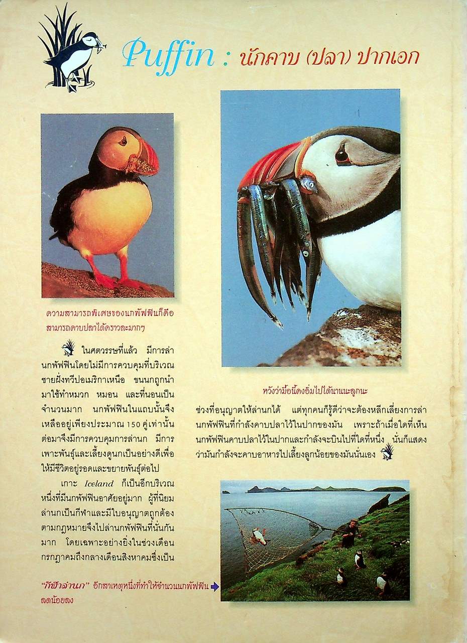 แม็ค ม.ปลาย วิทย์ ปีที่ 16 ฉบับที่ 6 ตุลาคม 2539