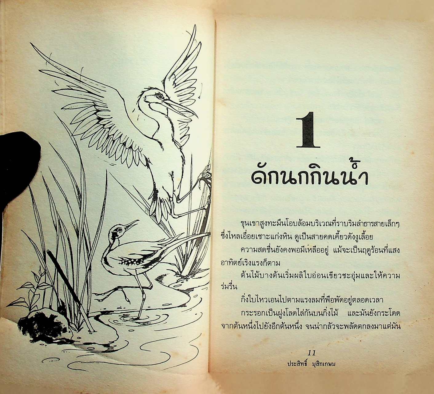 ชีวิตบ้านป่า