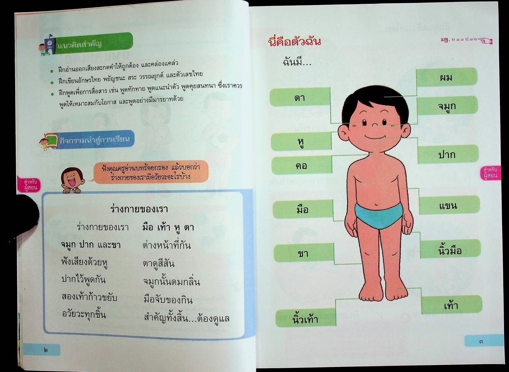 คู่มือครู หนังสือเรียน ภาษาไทย หลักภาษาและการใช้ภาษา ป.๑ ตามหลักสูตรแกนกลางการศึกษาขั้นพื้นฐาน พุทธศักราช ๒๕๕๑