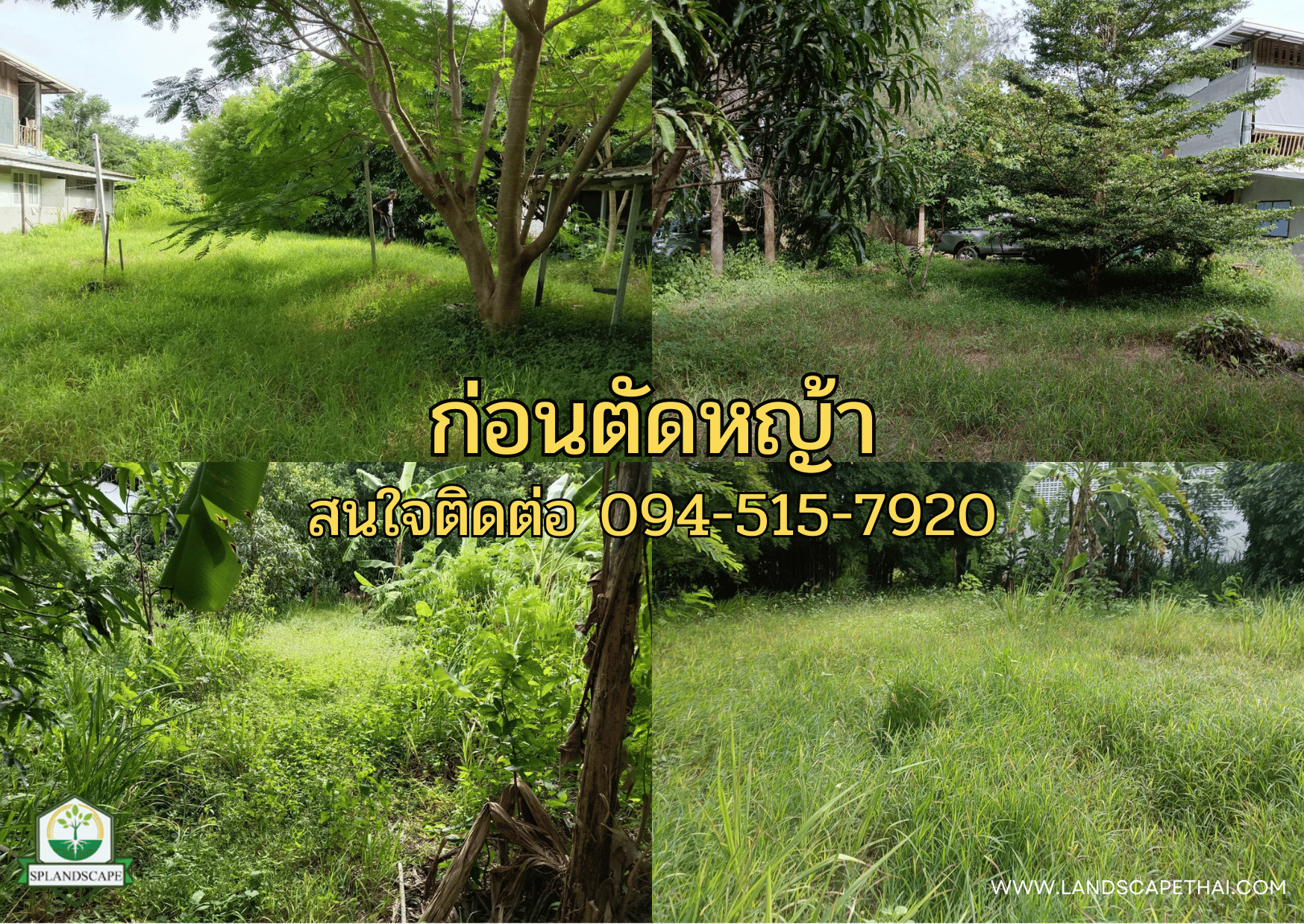 บริการรับตัดหญ้า เคลียร์ริ่ง ถางป่า กาญจนบุรี โทร. 094-515-7920