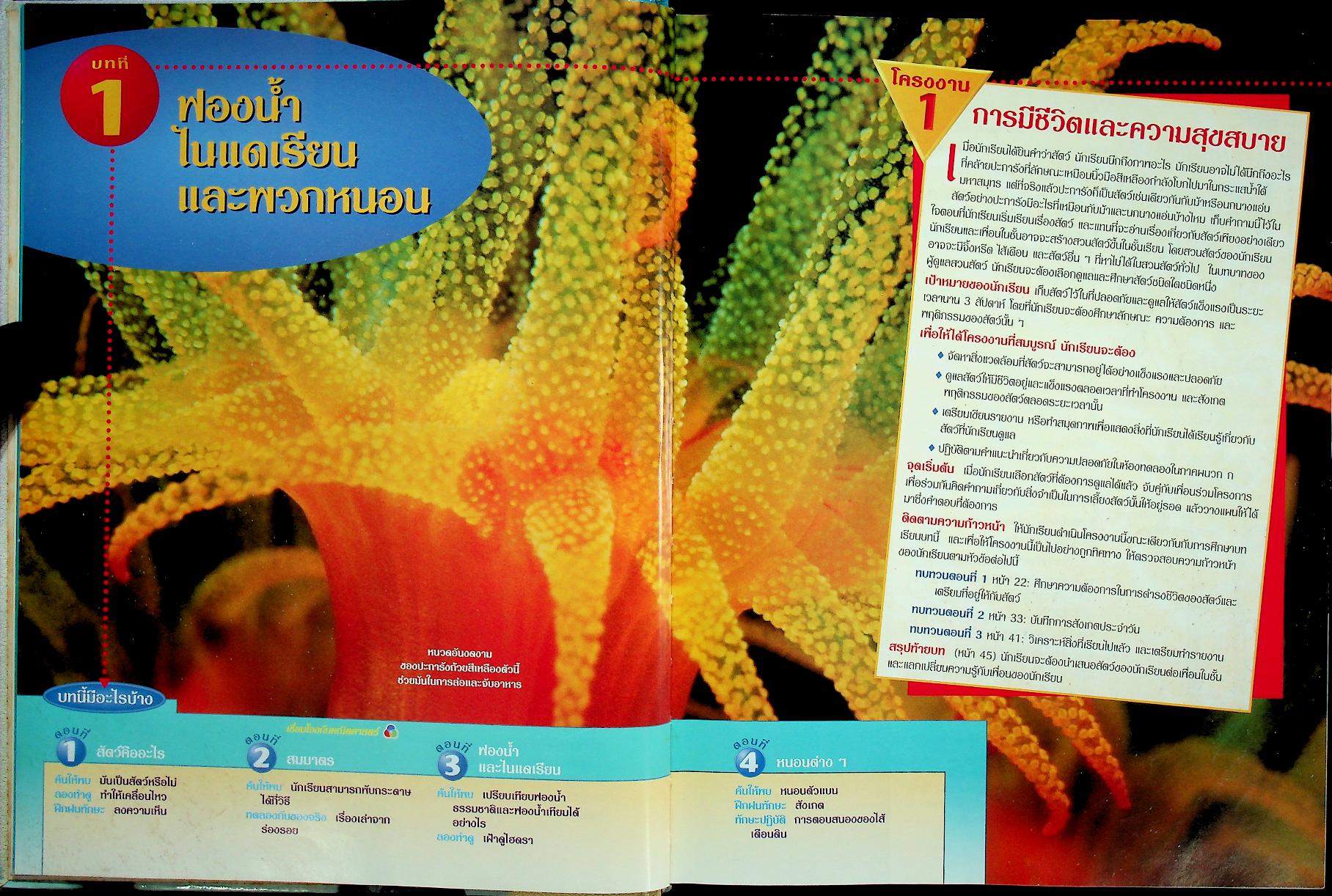 สำรวจโลกวิทยาศาสตร์ ชีวิตสัตว์โลก