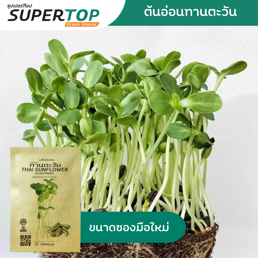 เมล็ดเพาะต้นอ่อน (Microgreen) SUPERTOP | Non-GMO ขนาดซองมือใหม่