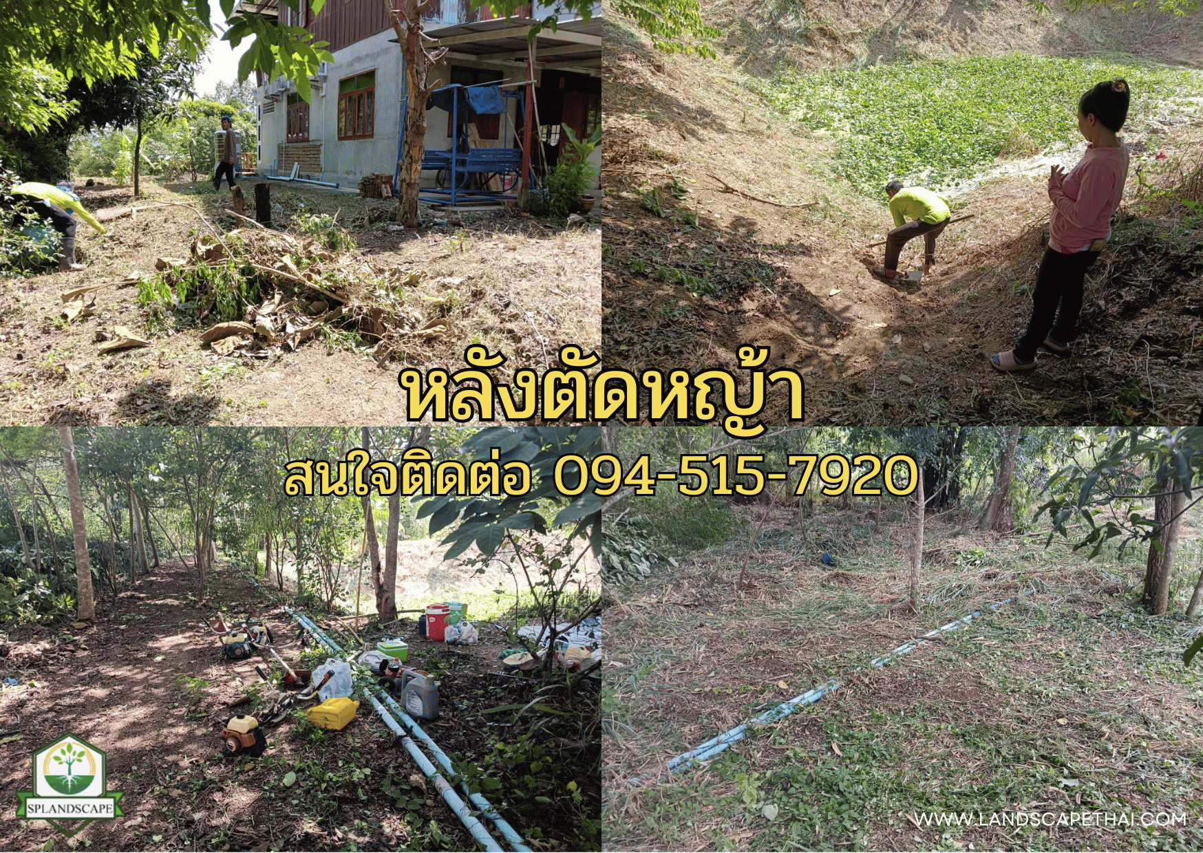 บริการรับตัดหญ้า เคลียร์ริ่ง ถางป่า กาญจนบุรี โทร. 094-515-7920