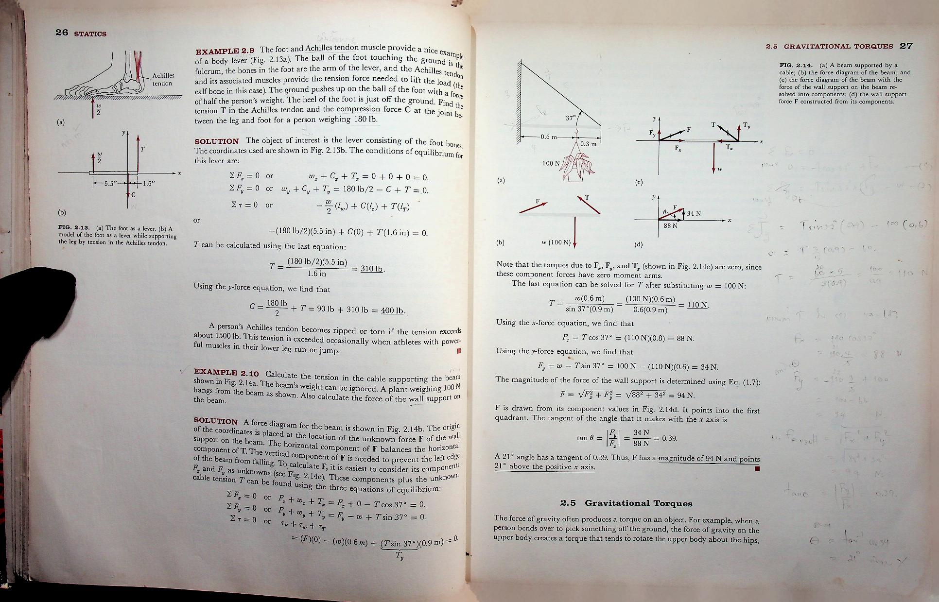 PHYSICS : A General Introduction