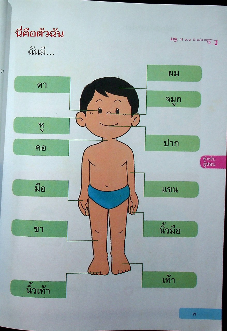 สำหรับผู้สอน หนังสือเรียน ภาษาไทย หลักภาษาและการใช้ภาษา ป.๑ ฉบับยกระดับผลสัมฤทธิ์ฯ