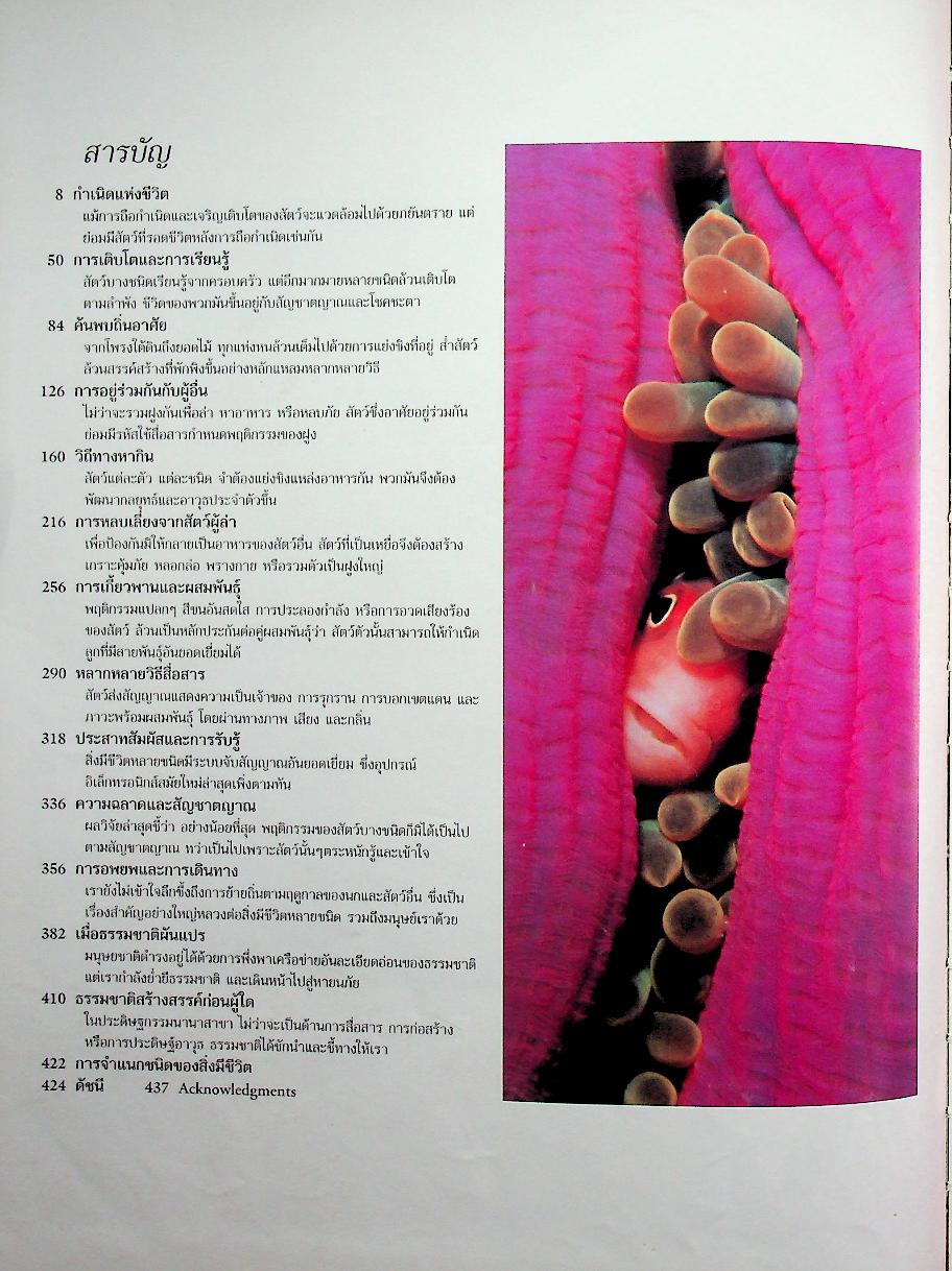 สำรวจชีวิตสัตว์โลกผู้น่าทึ่ง