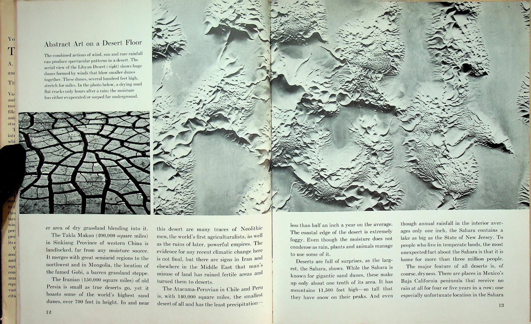 Young Readers Edition : THE DESERT