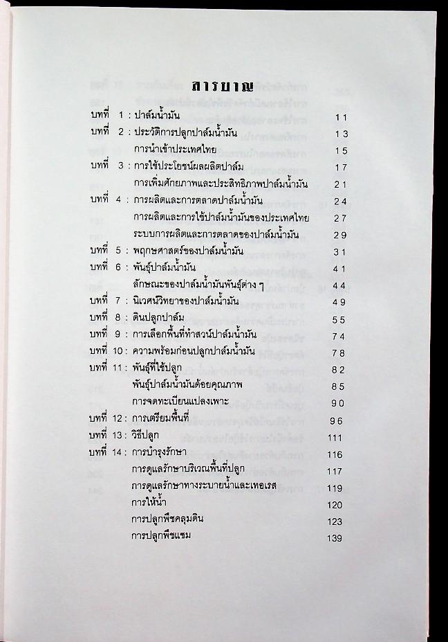 ปาล์มน้ำมัน พืชเศรษฐกิจสร้างรายได้สูงทั้งในปัจจุบันและอนาคต
