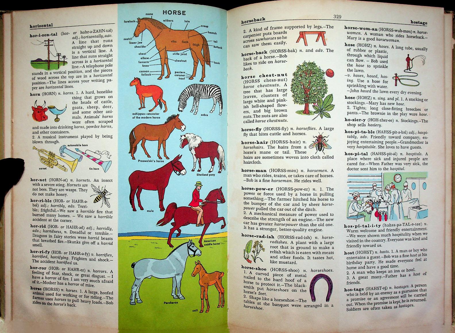 The Golden Book Illustrated DICTIONARY VOLUME 4
