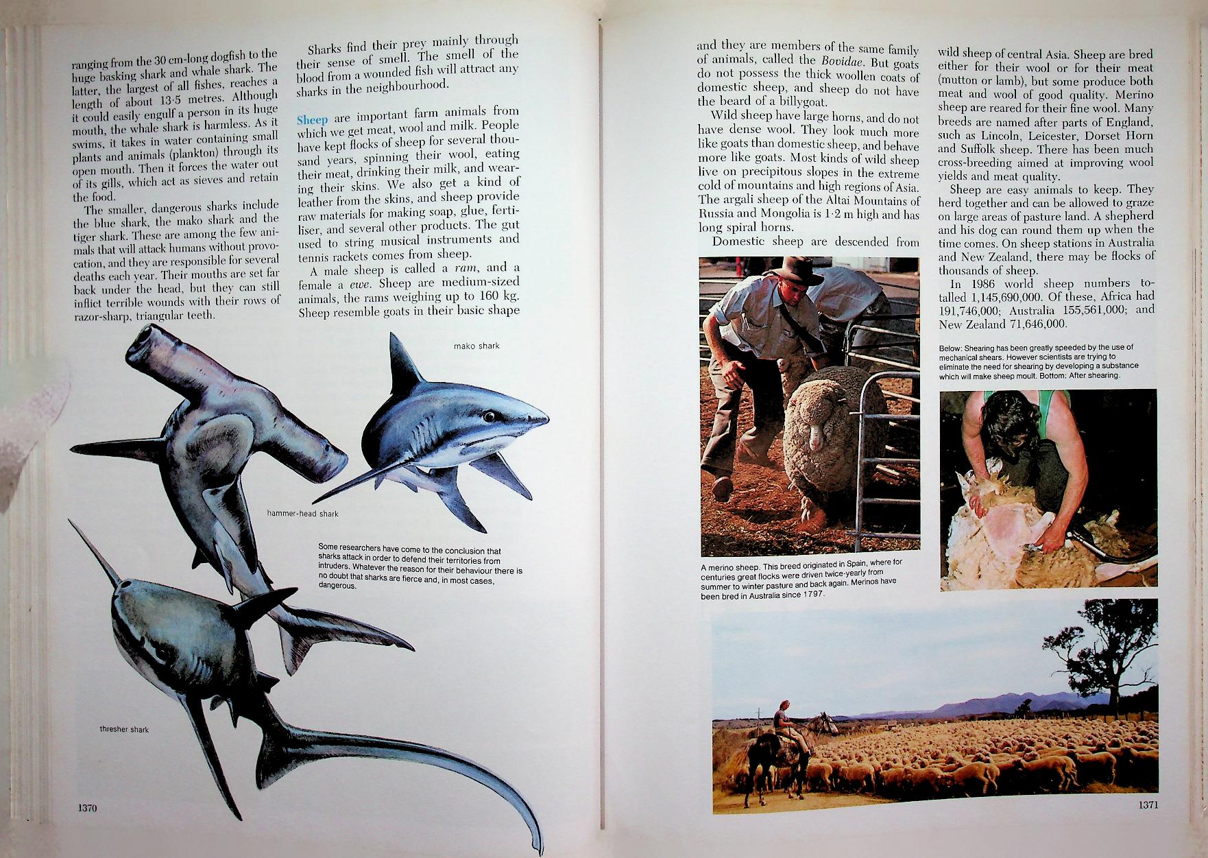 The 21st Century JUNIOR WORLD Encyclopedia 9