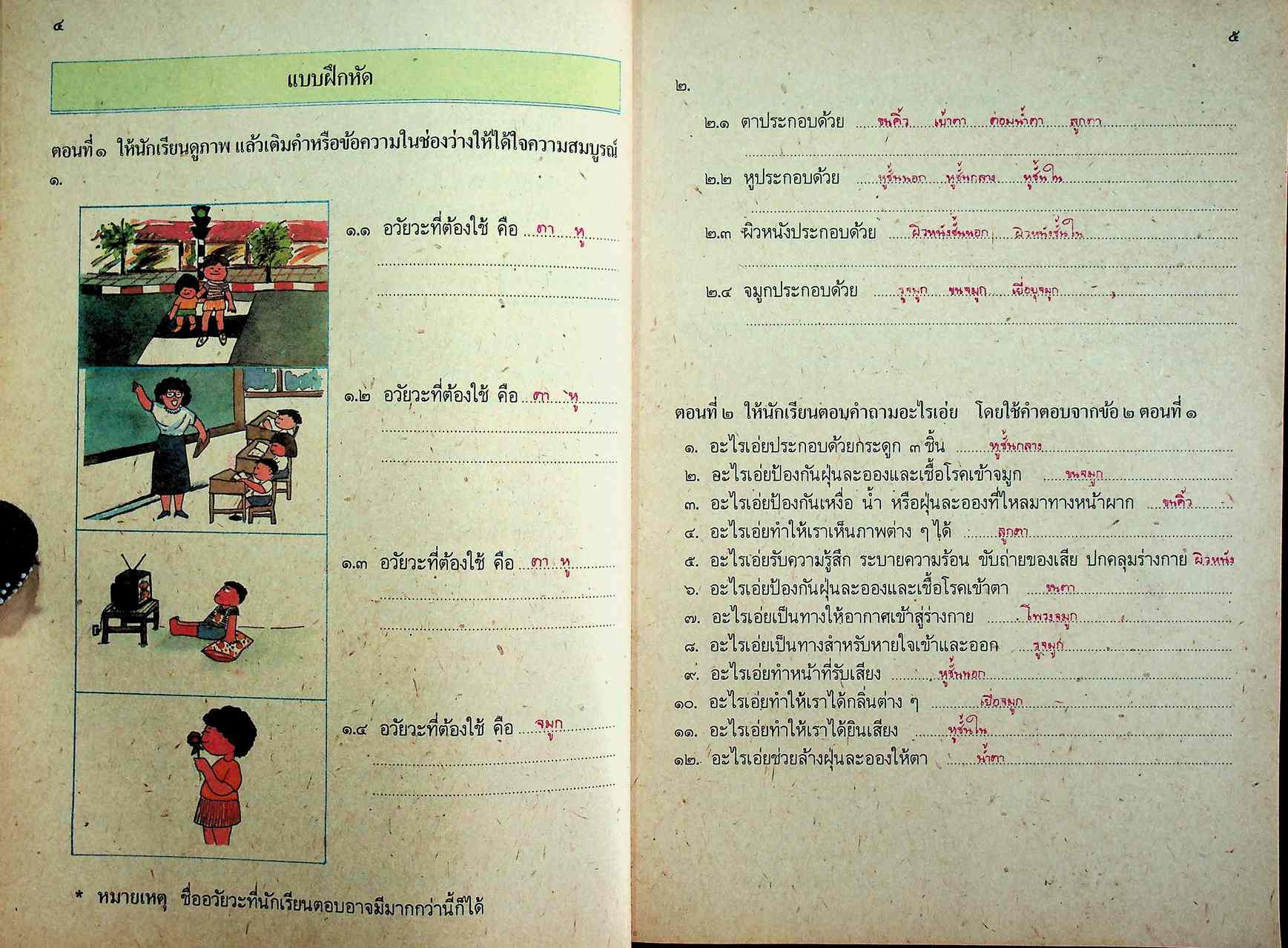 คู่มือครู หนังสือเรียนชุดทักษะกระบวนการอเนกประสงค์ สร้างเสริมประสบการณ์ชีวิต ชั้นประถมศึกษาปีที่ ๓