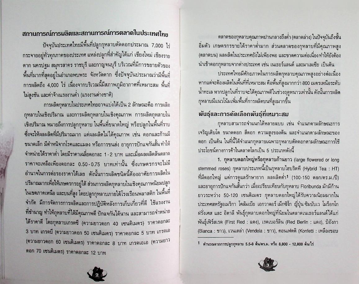 การปลูกกุหลาบ