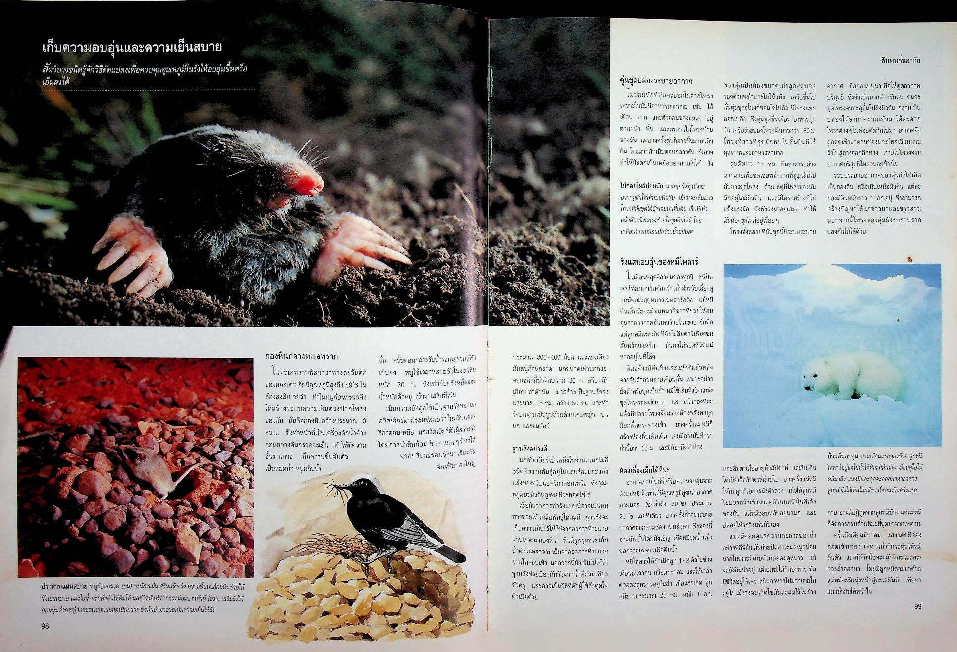 สำรวจชีวิตสัตว์โลกผู้น่าทึ่ง