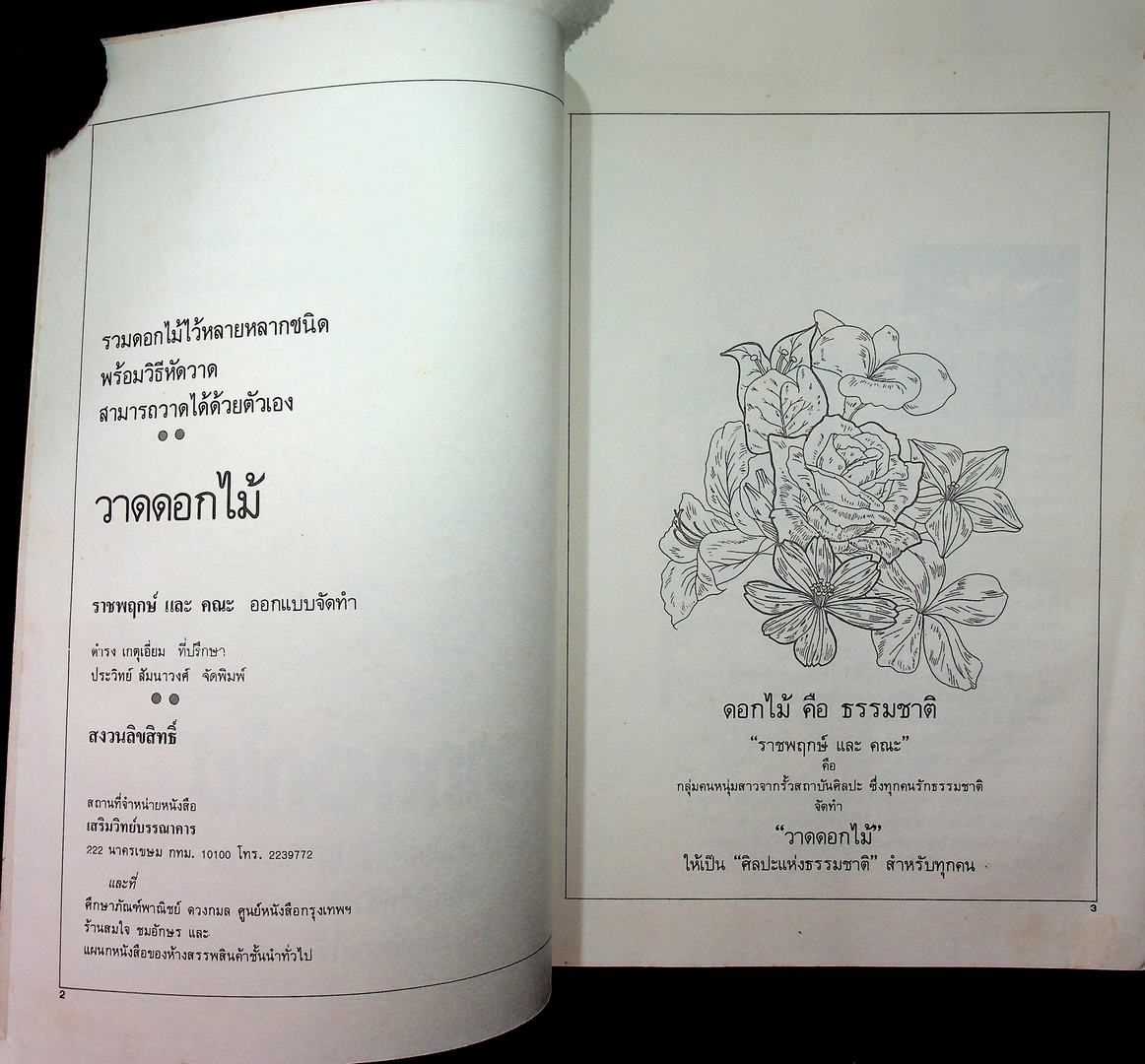 วาดดอกไม้