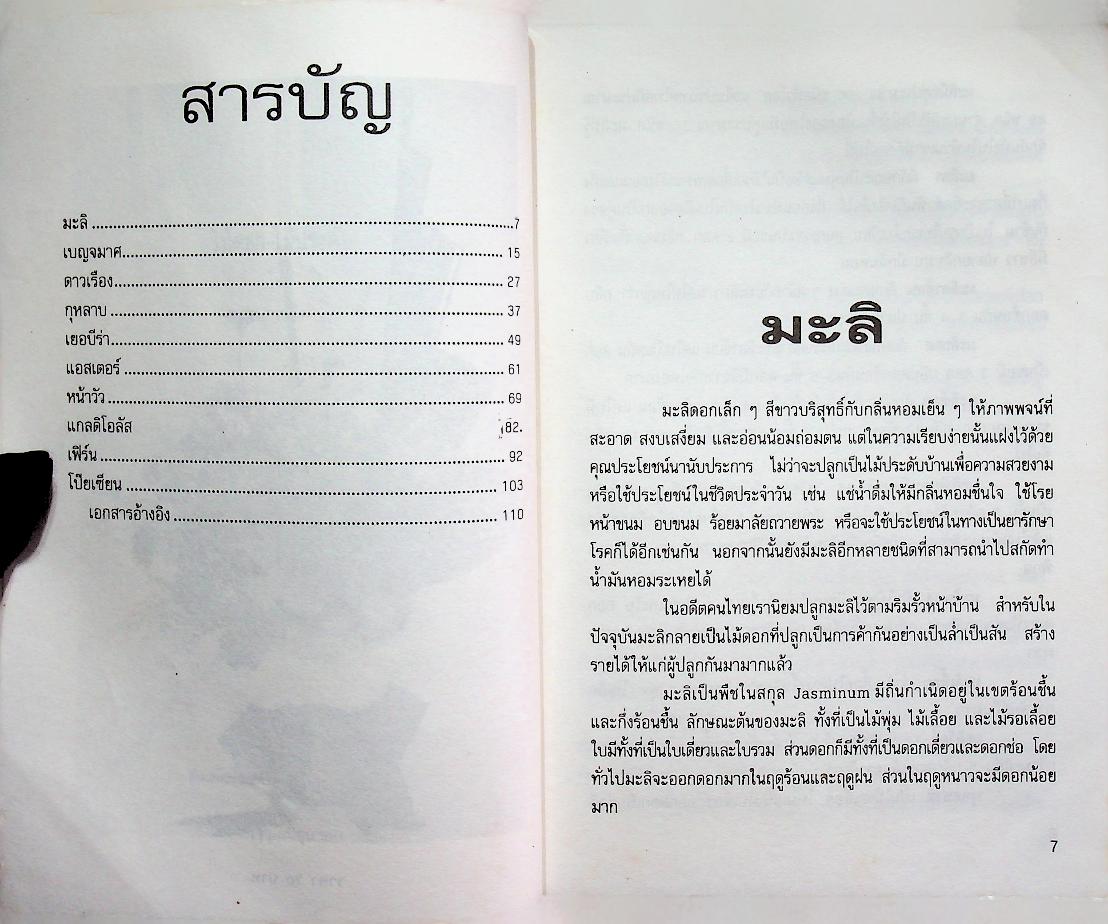 ไม้ดอก ไม้ประดับ