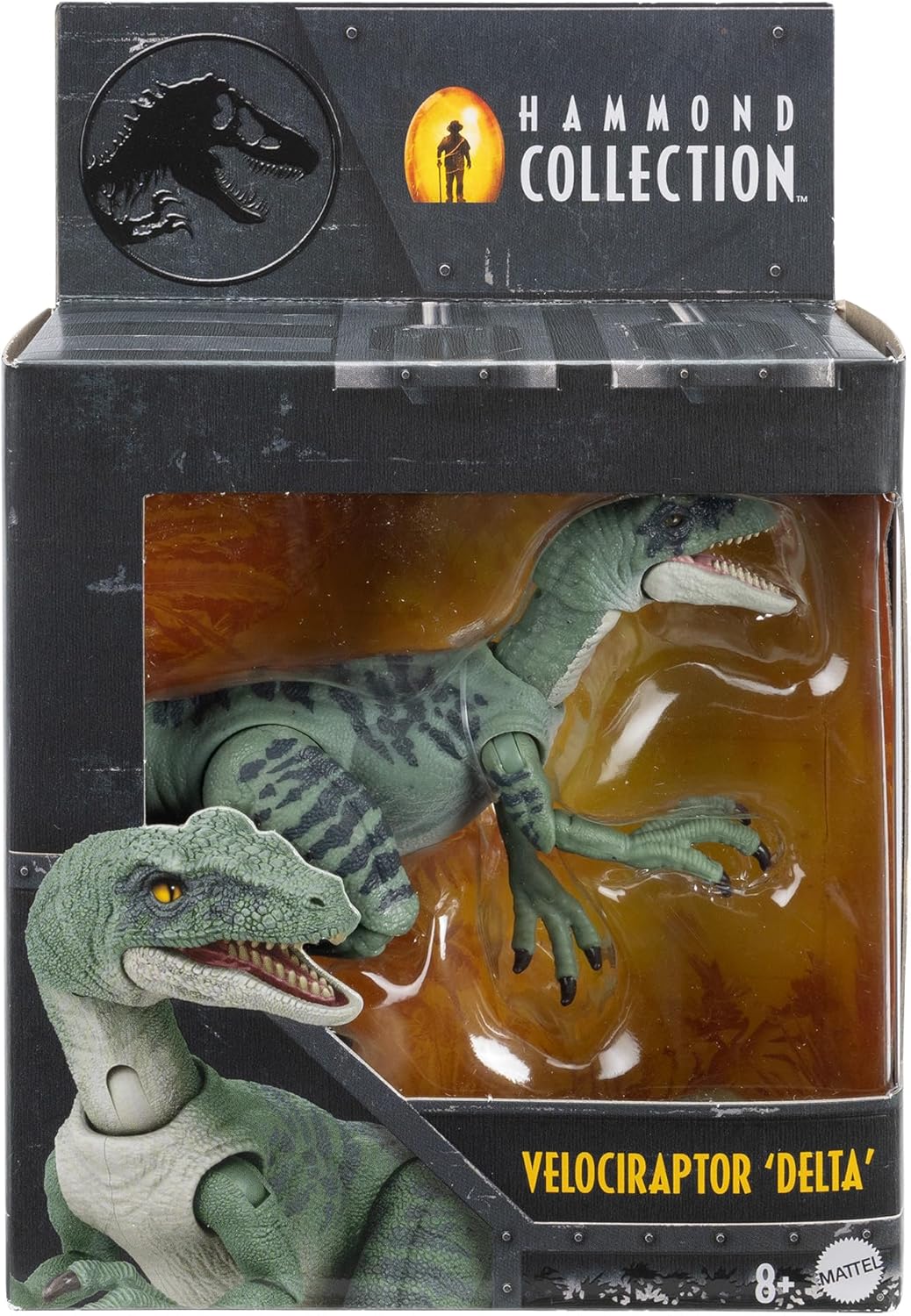 **MTS Toys**Mattel Jurassic World Hammond Collection : HTV63 Velociraptor 'Delta' [ความยาวจากหัวถึงหาง 21 ซ.ม.]