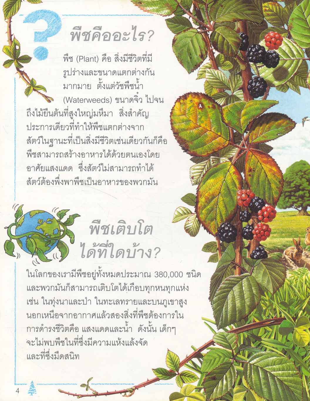 เด็กๆรู้ไหม ทำไม ต้นไม้มีใบ