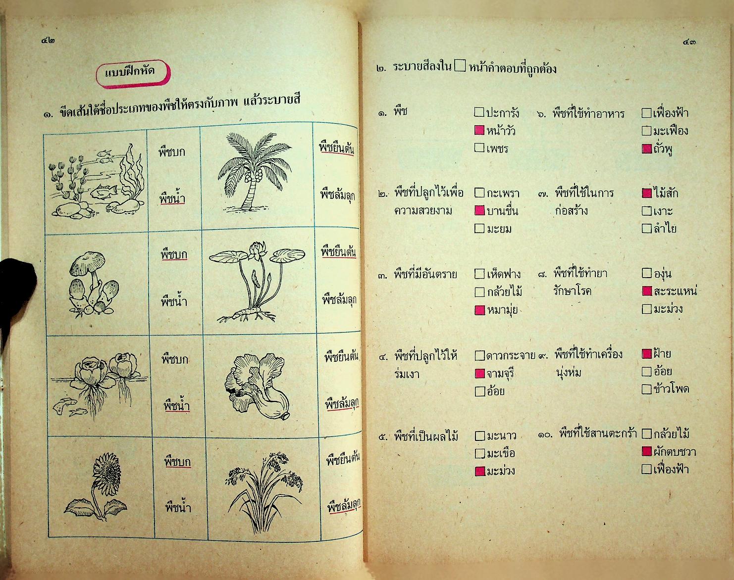 คู่มือครู หนังสือเรียนชุดทักษะกระบวนการอเนกประสงค์ สร้างเสริมประสบการณ์ชีวิต ชั้นประถมศึกษาปีที่ ๒