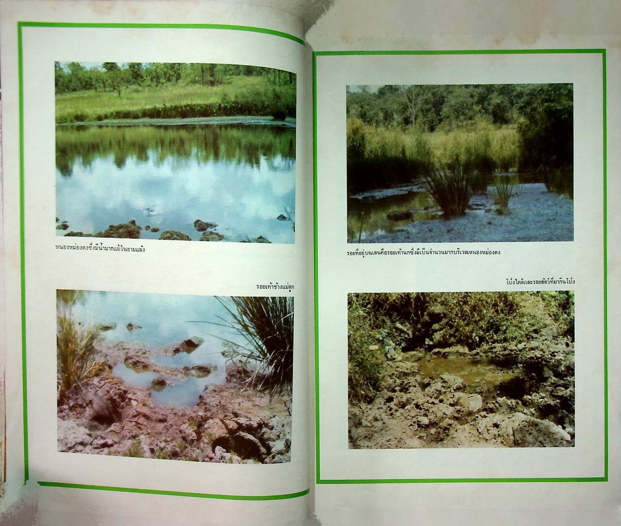 บันทึกลับจากทุ่ง ใหญ่