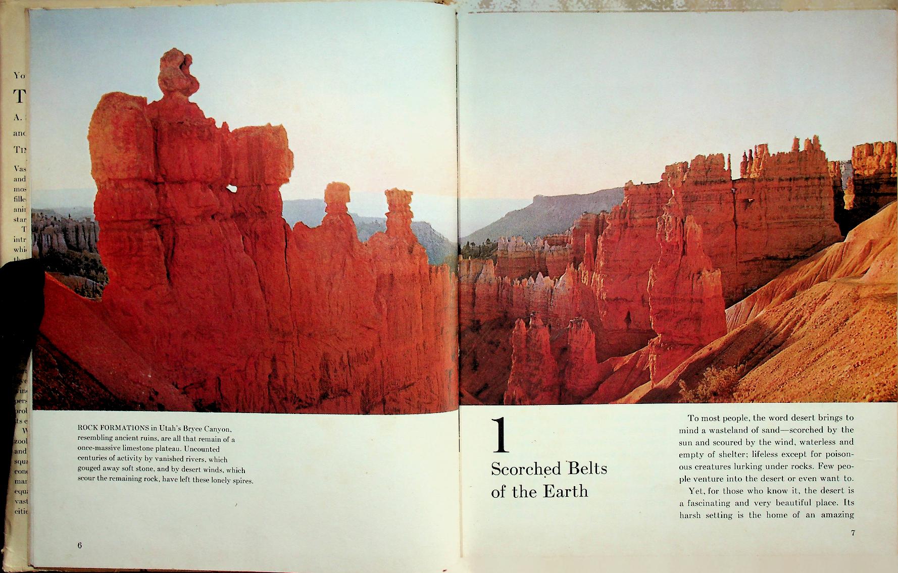 Young Readers Edition : THE DESERT