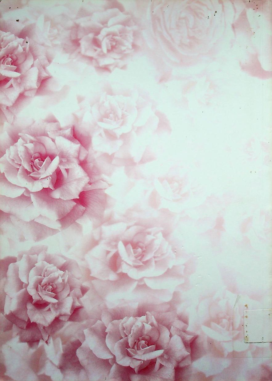 ที่ระลึกงานพระราชทานเพลิงศพ คุณจงกลนี จันทรสาขา