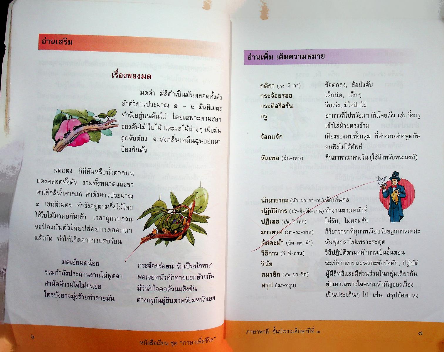 หนังสือเรียนสาระการเรียนรู้พื้นฐาน ชุด ภาษาเพื่อชีวิต ภาษาพาที ชั้นประถมศึกษาปีที่ ๓