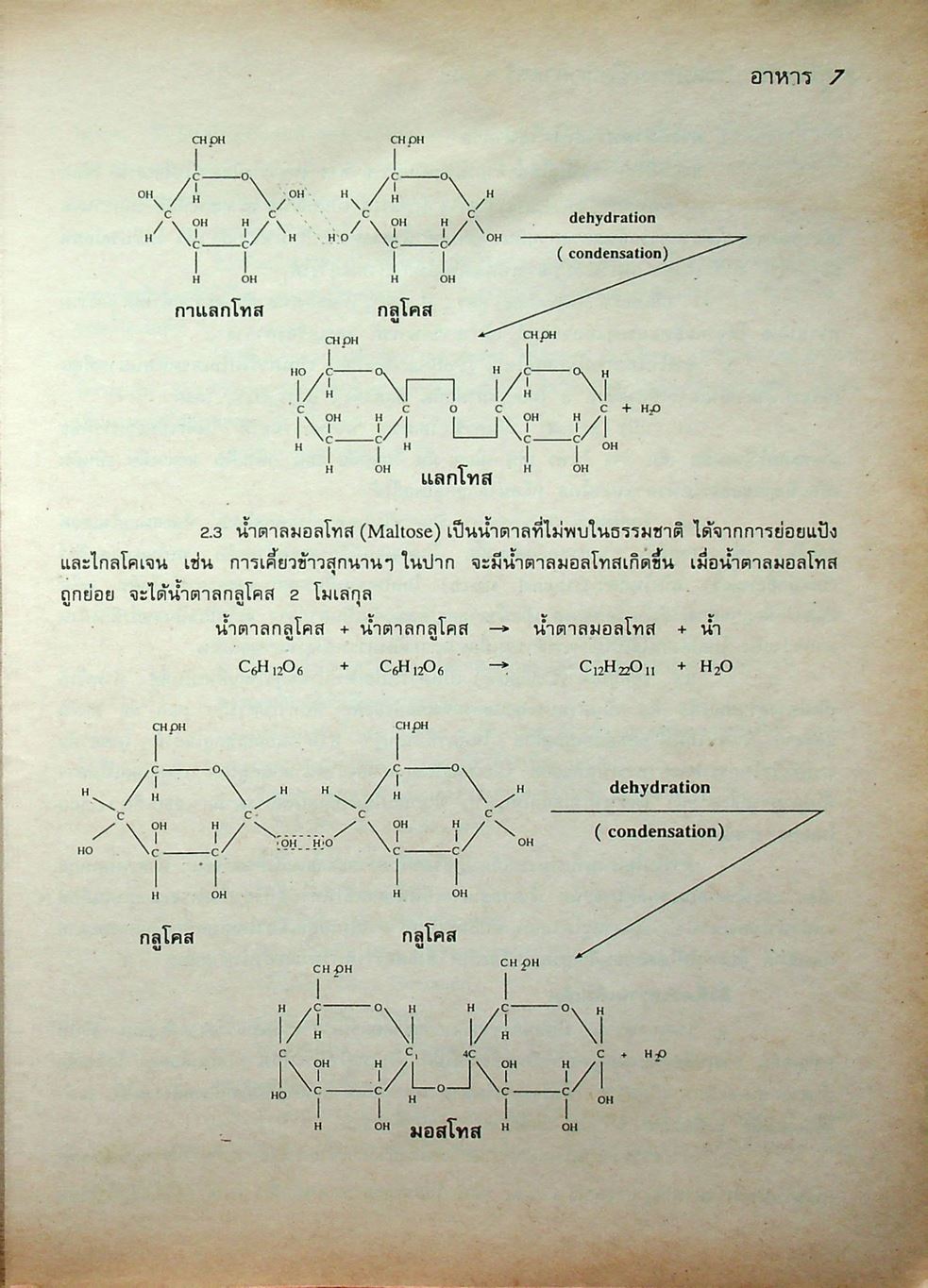 คู่มือเสริมประสบการณ์ วิทยาศาสตร์ ม.2 เล่ม 1 ภาคต้น ว 203