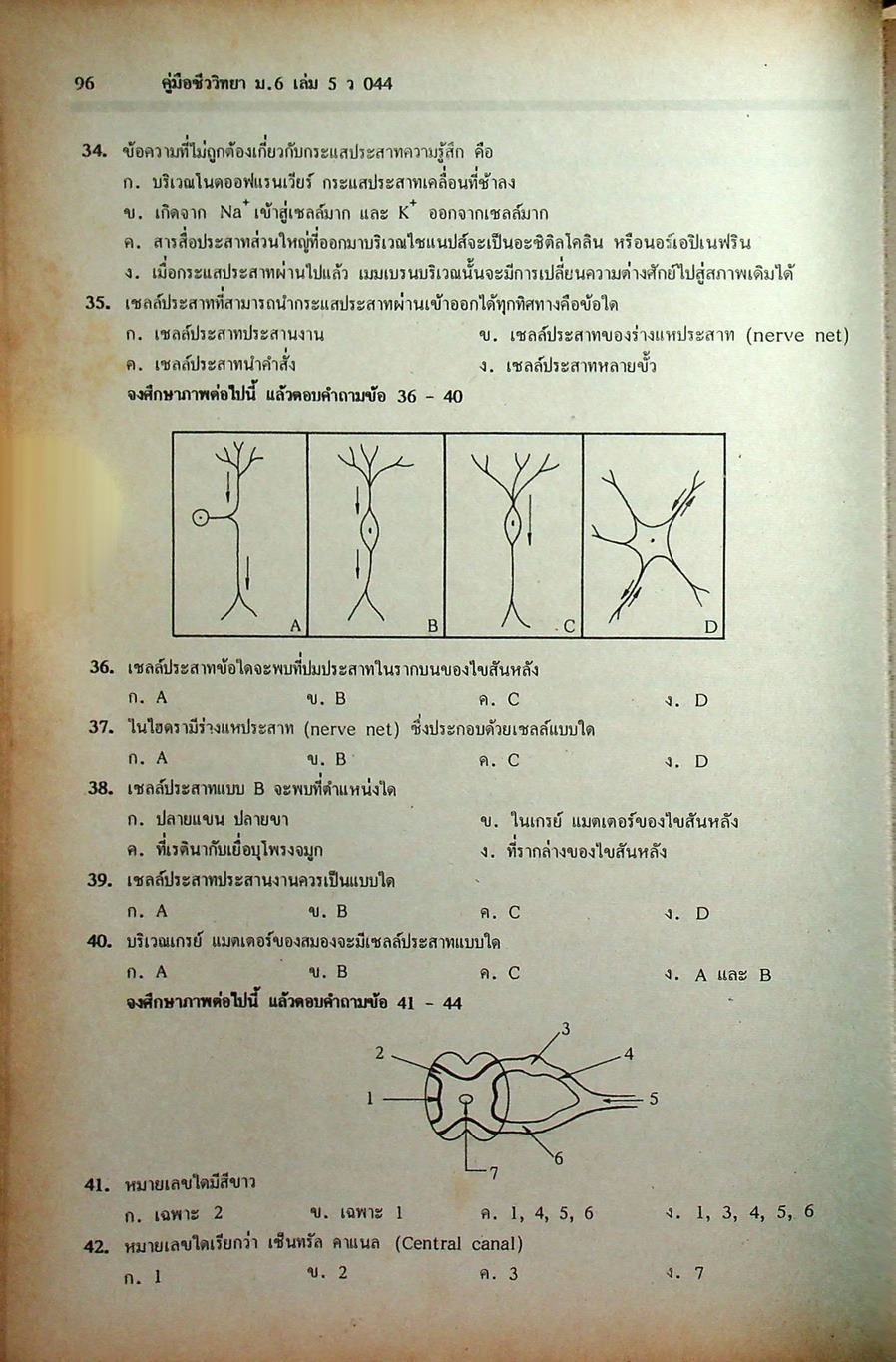 คู่มือเตรียมสอบ ชีววิทยา ม.6 เล่ม 5 ว 044