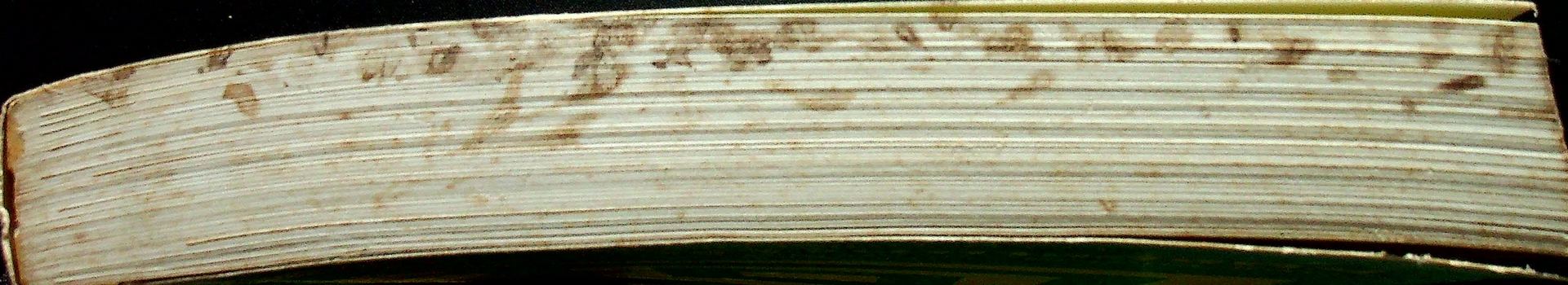 ปฎิบัติการเหนือตำรา การวิจัยสังคม