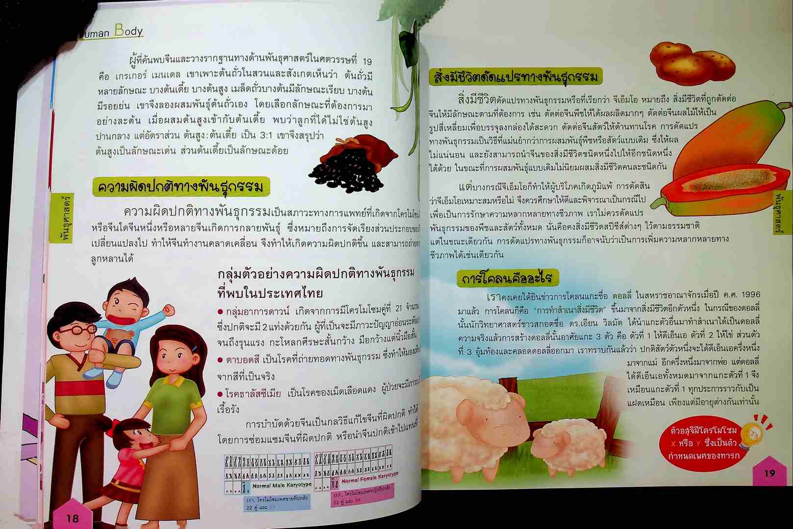 ระบบร่างกายของมนุษย์ ระดับประถม เสริมความรู้ในชั้นเรียน