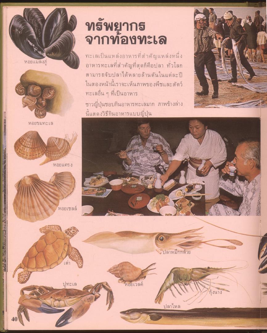 สารานุกรมเยาวชน นานาความรู้ชุดที่ 1 ทะเล