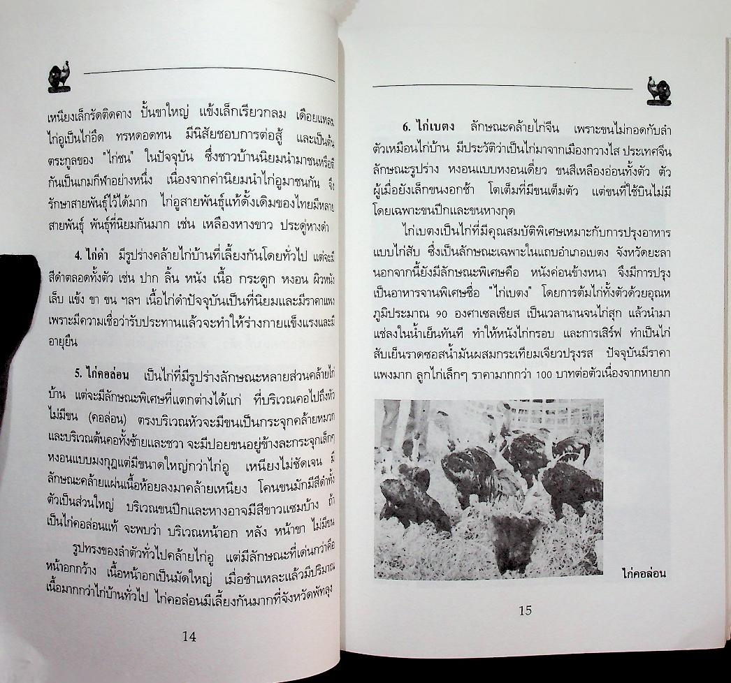 ไก่บ้าน