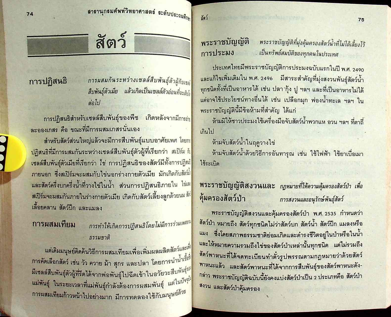 สารานุกรมศัพท์วิทยาศาสตร์ ระดับประถมศึกษา