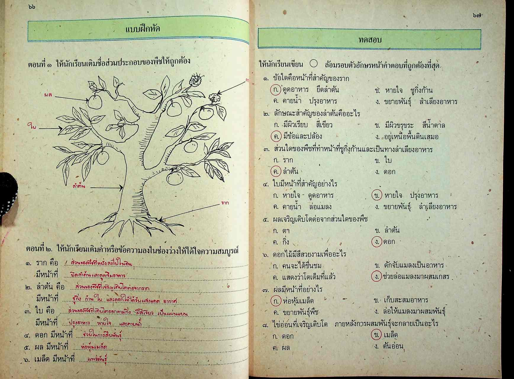 คู่มือครู หนังสือเรียนชุดทักษะกระบวนการอเนกประสงค์ สร้างเสริมประสบการณ์ชีวิต ชั้นประถมศึกษาปีที่ ๓