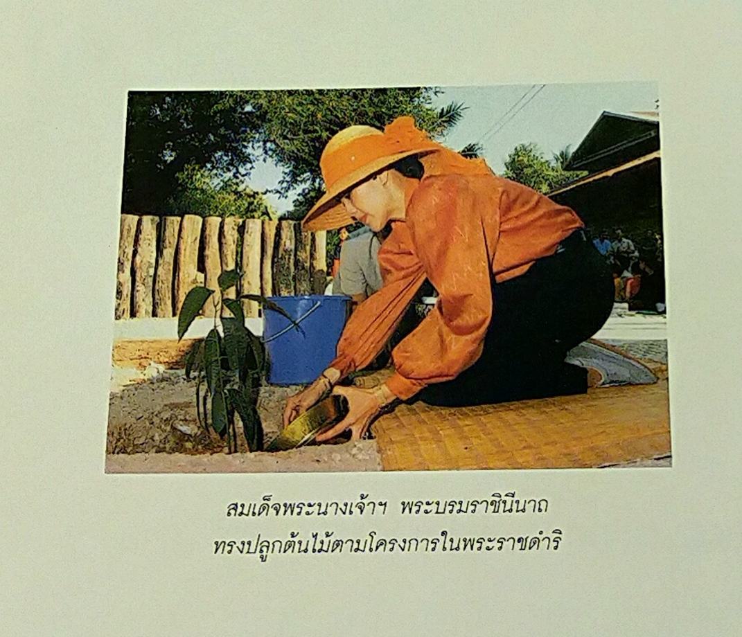 สมเด็จพระนางเจ้าสิริกิติ์ พระบรมราชินีนาถกับสิ่งแวดล้อม