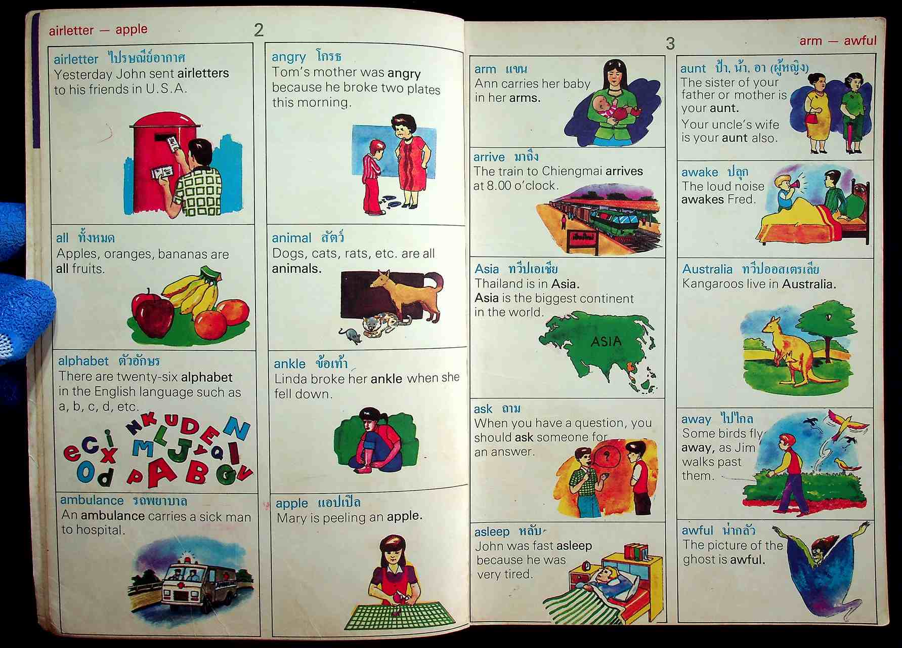 THE COLOR PICTURE DICTIONARY