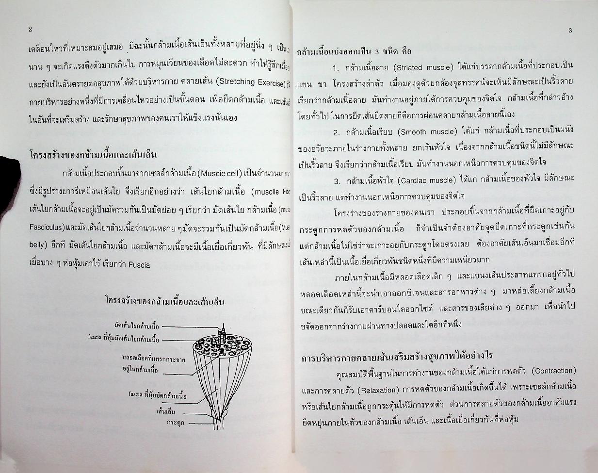 บริหารกายคลายเส้น