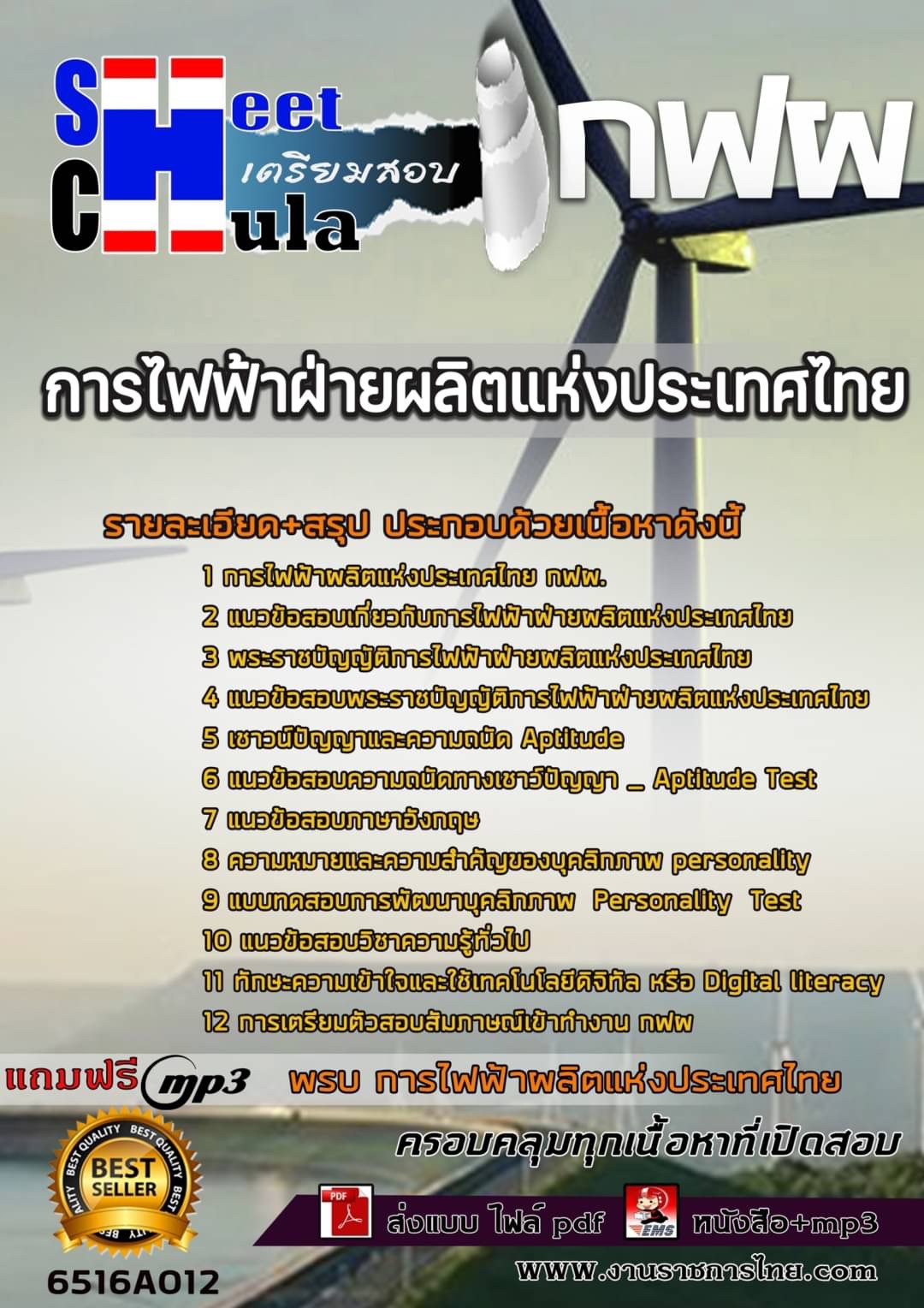 แนวข้อสอบการไฟฟ้าฝ่ายผลิตแห่งประเทศไทย (กฟผ)