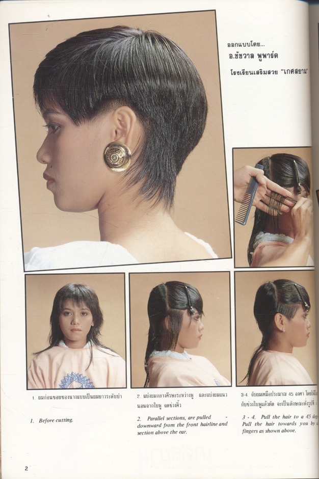 แฟชั่นแบบผม HAIR STYLE MASTERLY DESIGNED HAIRSTYLE VOL.8